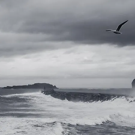 Apartamento Andra Mari Apartamentu Turistikoak Bermeo