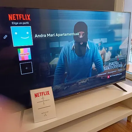 Andra Mari Apartamentu Turistikoak