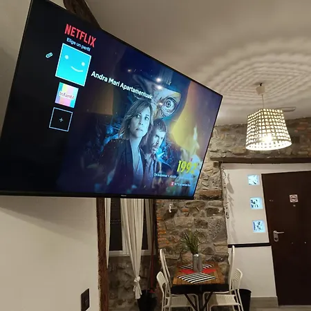 Andra Mari Apartamentu Turistikoak Apartment