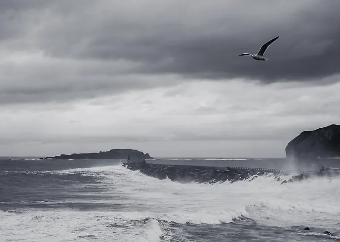 Apartment Andra Mari Apartamentu Turistikoak Bermeo